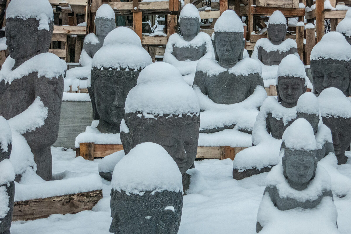 Lavasteinbuddhas sind absolut winterhart