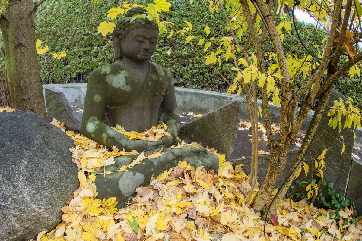 Ein Buddha im Garten – die Ruhe selbst